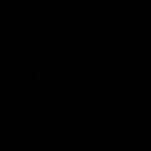 Meet your Posher, Yasaman